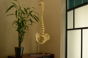 Chiropractor Woodbridge, Chiropractor Vaughan, Chiropractor, Chiropractic